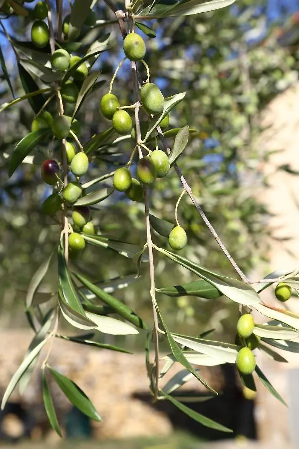 Casa Mari Βίλα Pontedassio 0*,  Ιταλία