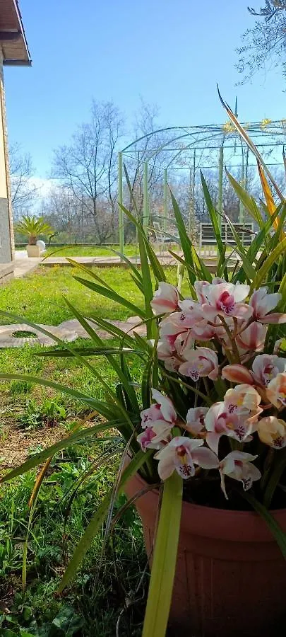 Casa Mari Villa Pontedassio Holiday home